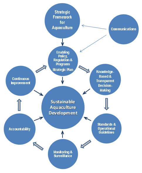 Project Management Cycle