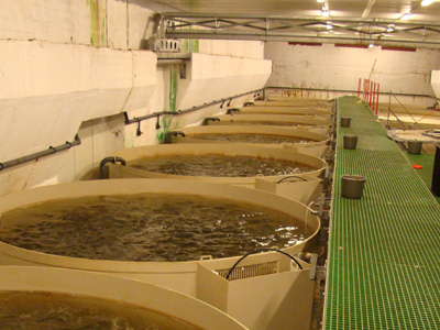 Marine environment